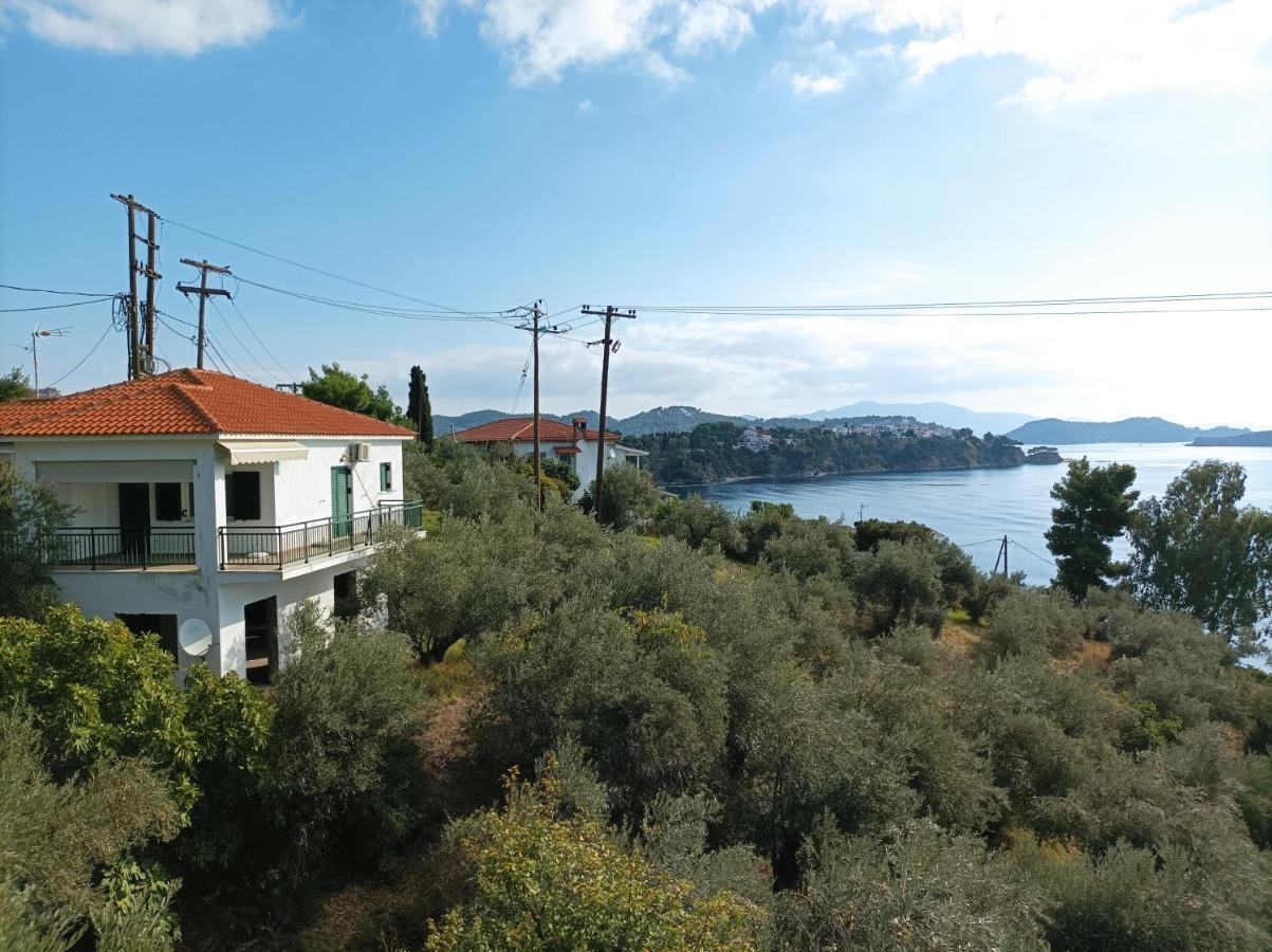 Ftelia House Villa Skiathos Town Ngoại thất bức ảnh